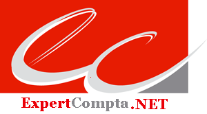 Expertise Comptable Expert-Comptable